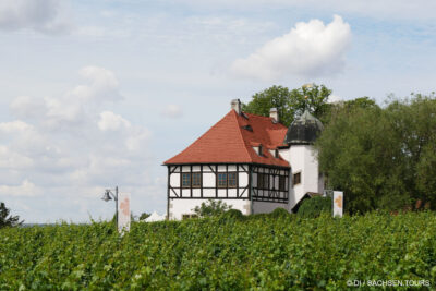 27. Tage des offenen Weingutes Sachsen