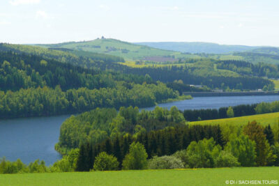 46. Tharandter-Wald-Lauf