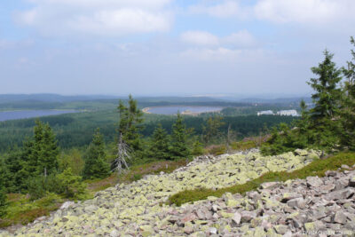Frühlingswanderwoche Altenberg